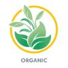 Picture of Organic Breast Massage Oil