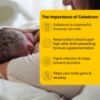 Picture of Harmony with Colostrum Collection & Feeding Kit
